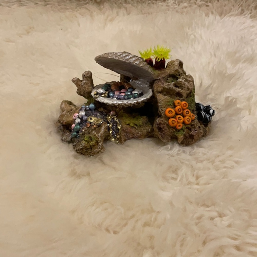 Top Fin Treasure Clam